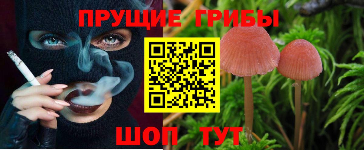 Горячий Ключ  Псилоцибиновые грибы мухоморы  Вход с VPN 